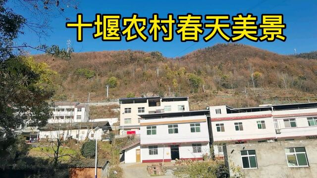 没想到今年倒春寒闰二月十堰农村春天美丽乡村格外漂亮好看真意外