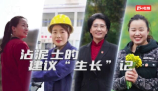 陈梦林:将梦想之林“种”满乡村沃野丨沾泥土的建议“生长”记②