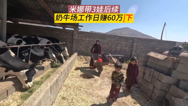 米娜带3娃最新后续,农场照顾奶牛,日赚60万伊朗里亚尔(下)