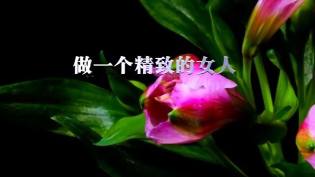 女人节:做个精致女人,像花一样活着