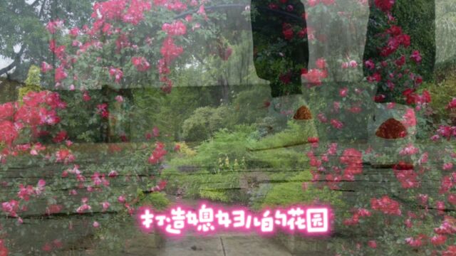 待花开叶落,看日出晚霞.听风雨雷电,品春夏秋冬.