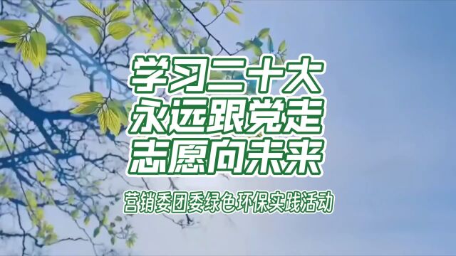 南航营销委团委绿色环保实践活动