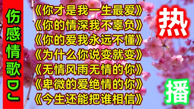 七首催泪伤感情歌DJ《你才是我一生最爱》《你的情深我不辜负》