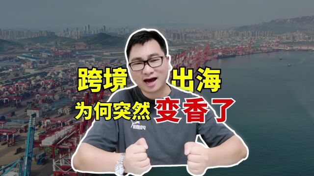 支付小课堂:跨境出海为什么突然变香了?