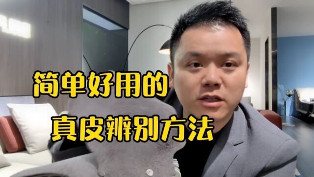 网友不会辨别沙发真皮,行内人士教你简单好用的真皮辨别方法