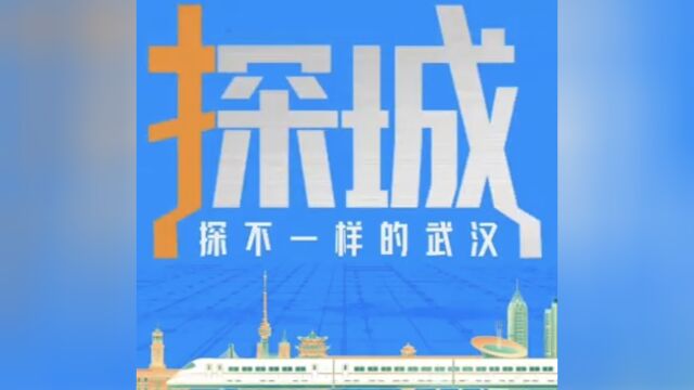 探城|“武汉北”藏着亚洲首屈一指的货物列车工厂