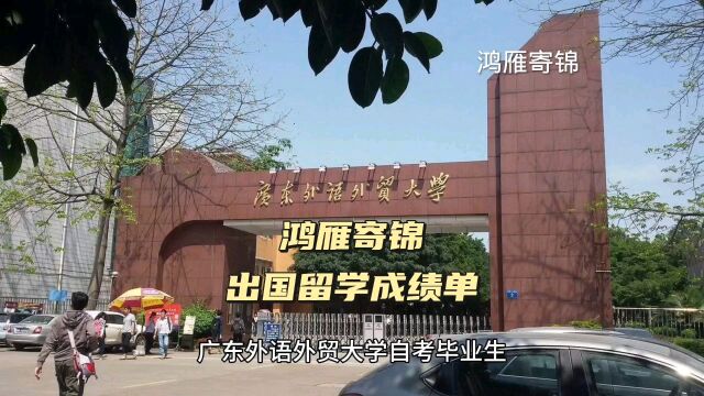 鸿雁寄锦出国留学中英文成绩单打印 广东外语外贸大学自考毕业生