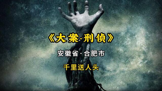 安徽合肥刑事案,女子为追债惨遭杀害,被装进行李箱丢入臭水沟中