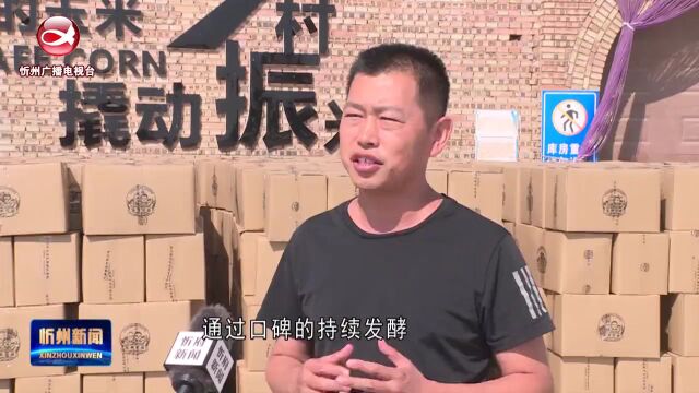 忻州市玉米兄弟食品有限公司:2700余亩有机黑糯玉米喜迎丰收