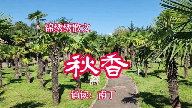 锦绣绣散文《秋香》诵读:南丁