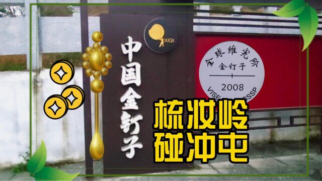 柳州市柳北区梳庄村碰冲屯,梳妆岭下看到地质领域的“金钉子”