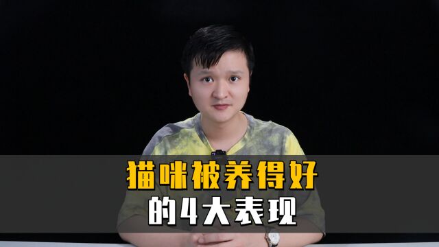 一只被养得好的猫咪,会是什么样子呢?