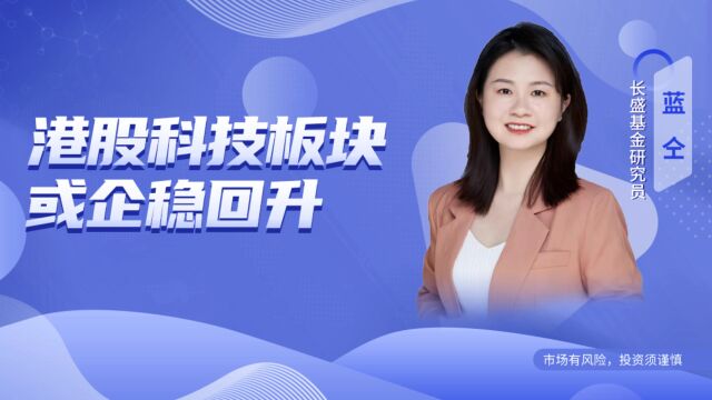 长盛基金蓝仝:港股或将企稳,科技板块机会较多