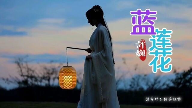 许巍经典歌曲《蓝莲花》,励志好听