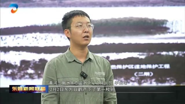 东方白鹳——黄河口的“吉祥鸟”