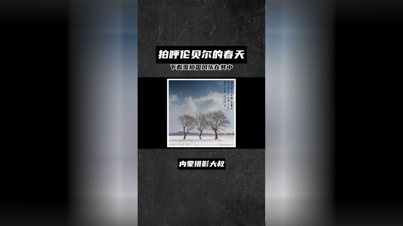 拍呼伦贝尔的春天,一场青蓝山水的拍摄,下着雪拍国风乐在其中 #户外摄影 #旅行摄影 #摄影师日常