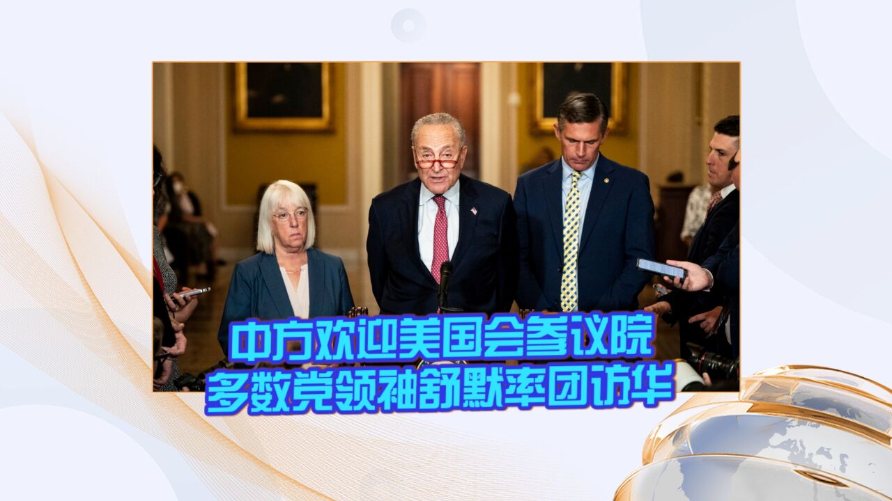 中方欢迎美国会参议院多数党领袖舒默率团访华