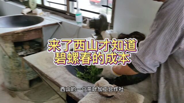 今天我来了西山碧螺春加工场所才知道,碧螺春是十大名茶价格洼地