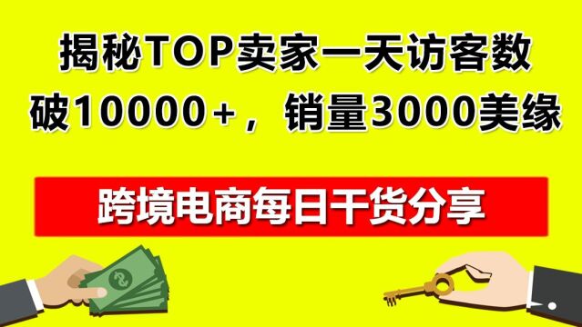 04.揭秘TOP卖家一天访客数破10000+,销量3000美缘