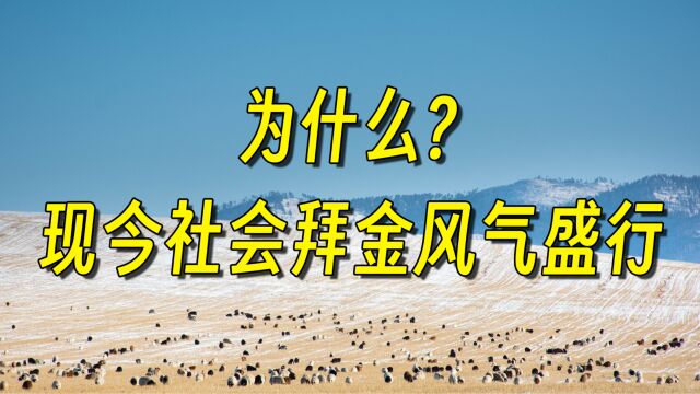 为什么现今社会拜金风气盛行?ChatGPT说