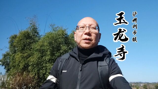 湮没在岁月长河之中的古刹,幸存美轮美奂的石雕——胡市玉龙寺