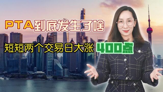  PTA到底发生了啥,短短两个交易日大涨400点