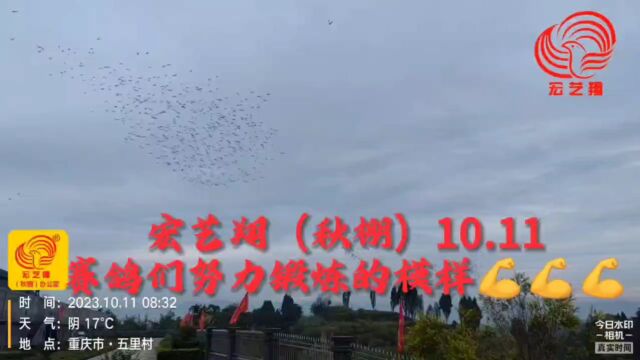 重庆宏艺翔(秋棚)10月11日两次强飞精彩瞬间