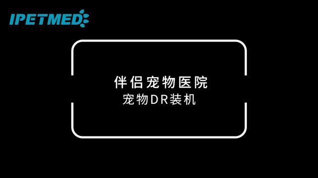 伴侣宠物医院装机宜宠DR:提升诊疗与品牌的新选择