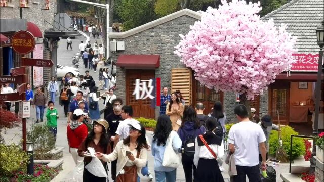 【视频】上午艳阳高照,下午雷雨来袭 —— 江城天气“一波三折”