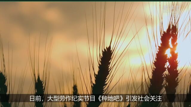 《种地吧》引关注:聚焦乡村振兴 传播农耕文化