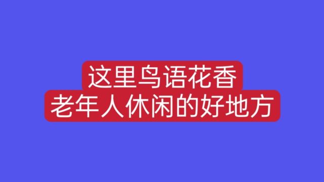 曲靖麒麟花园这里还有卖鸟的,鸟语花香,是老年人休闲的好地方