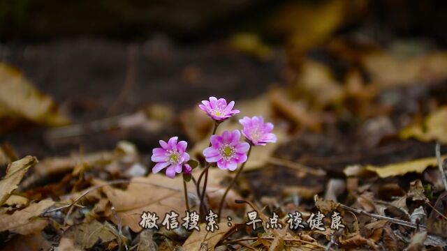 最高级的养生,不是睡觉,不是锻炼,就一个字!