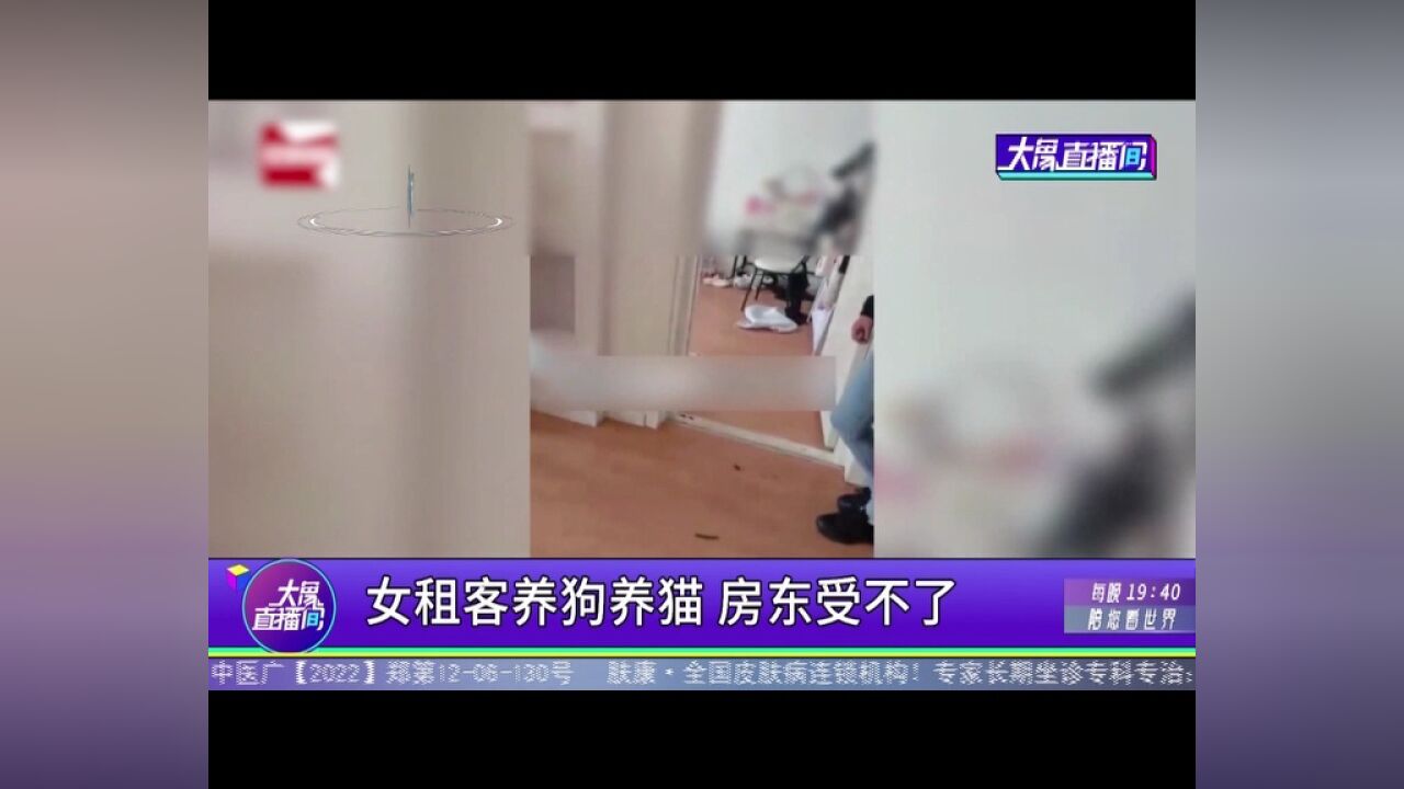 女租客养狗养猫,房东受不了