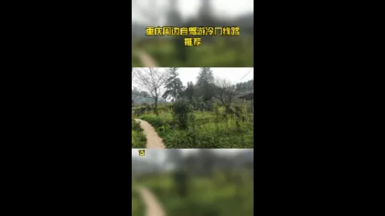 重庆周边自驾游冷门线路推荐