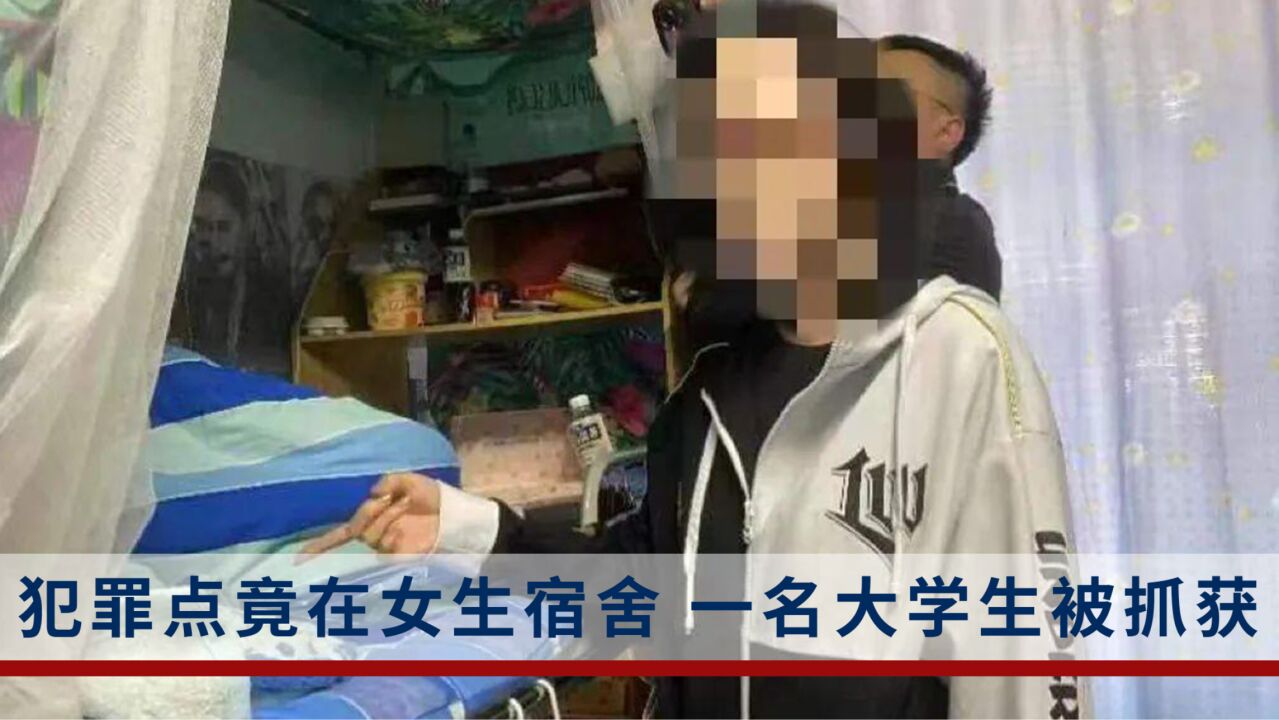 犯罪窝点竟在呼和浩特一大学女生宿舍,一名大学生被采取刑事强制措施