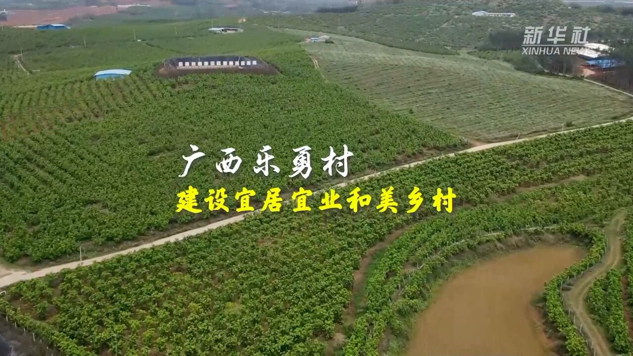 全国两会精神看落实|广西乐勇村:建设宜居宜业和美乡村