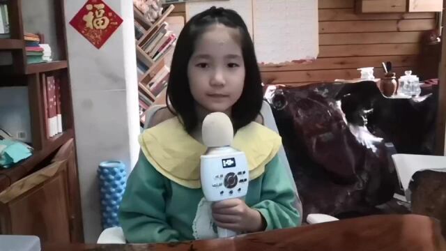 津美幼儿园2023儿歌大赛魏岚