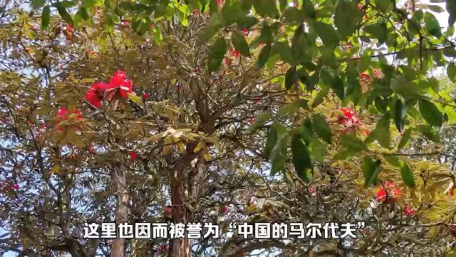 国内适合旅行的风景优美小城:阳西、东山