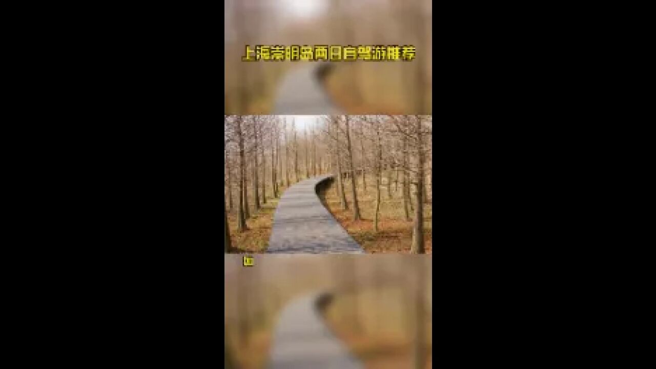 上海崇明岛两日自驾游推荐