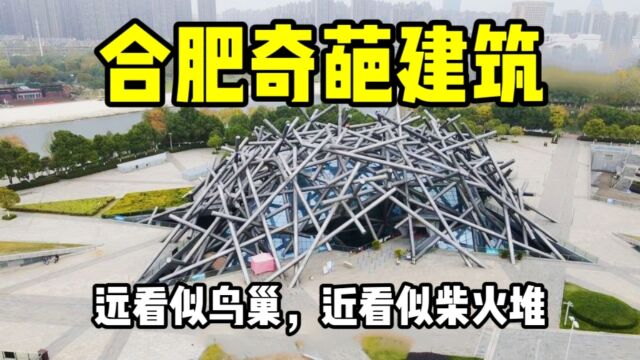 安徽合肥耗资近2亿建的奇葩建筑,远看像鸟巢,近看像柴火堆!