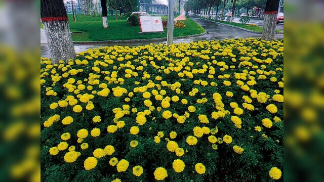 下雨有下雨的风景,同一个地方,在不同的季节和天气,你会得到不一样的感觉