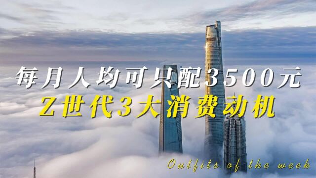 每月人均可支配3500元,Z世代3大消费动机