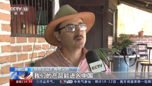 洪都拉斯 记者探访咖啡工厂和咖啡园 咖啡产业从业者期待洪中建交带来新机遇