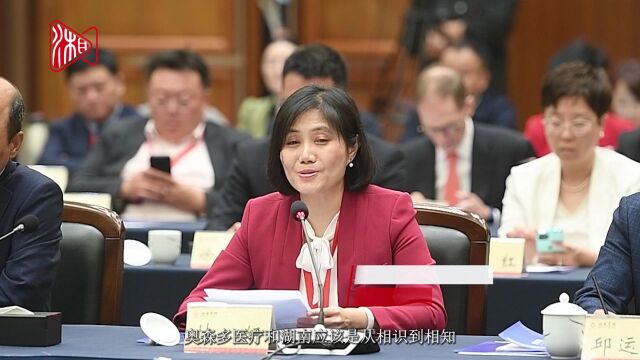 林妍:助力长沙早日建设成为全球研发中心城市