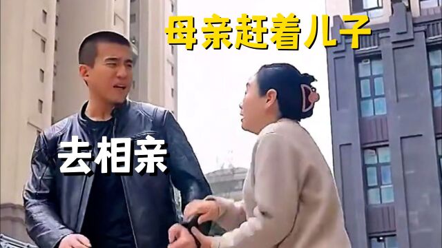 大龄小伙天天被母亲赶着去相亲《打工皇帝》