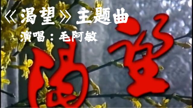 90年代经典电视剧《渴望》主题曲,毛阿敏倾情演唱,太经典了