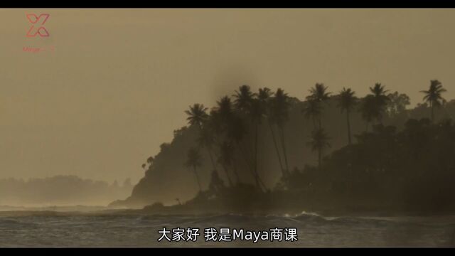 Maya商课电商平台之六