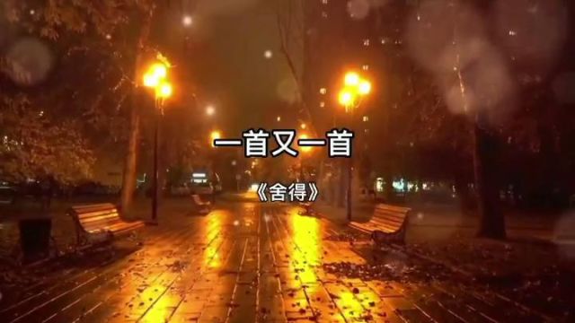 《舍得》词:晶石,曲:余志成ⷬ唱:江琴/Dalin