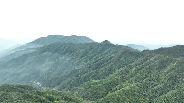 井冈山一日游