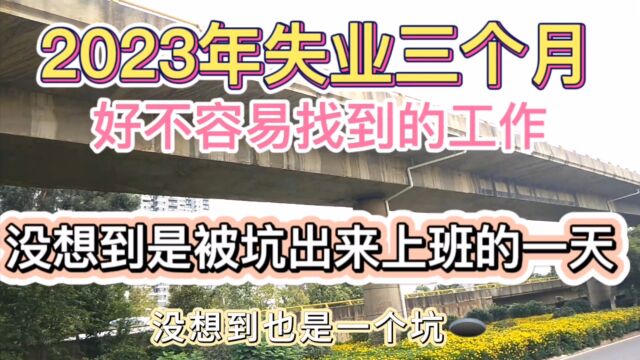 2023年失业三个月,好不容易找到的工作,上班培训内容吓得我瑟瑟发抖,赶紧溜之大吉了.大家面试会遇到哪些奇葩现象呢?